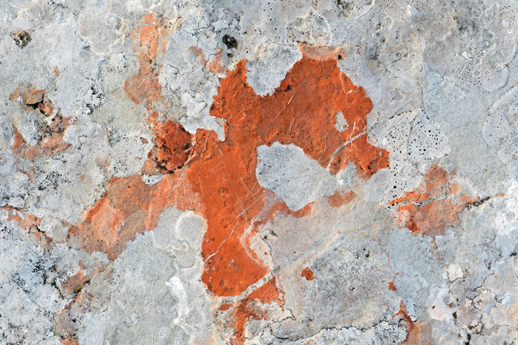neuebilder_quer_4