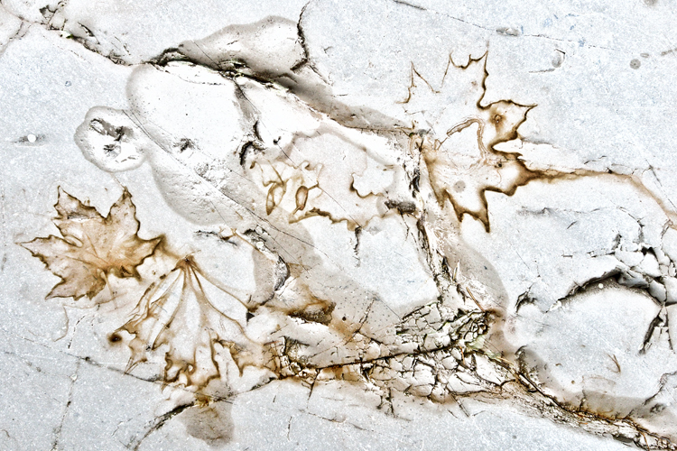 neuebilder_quer_6