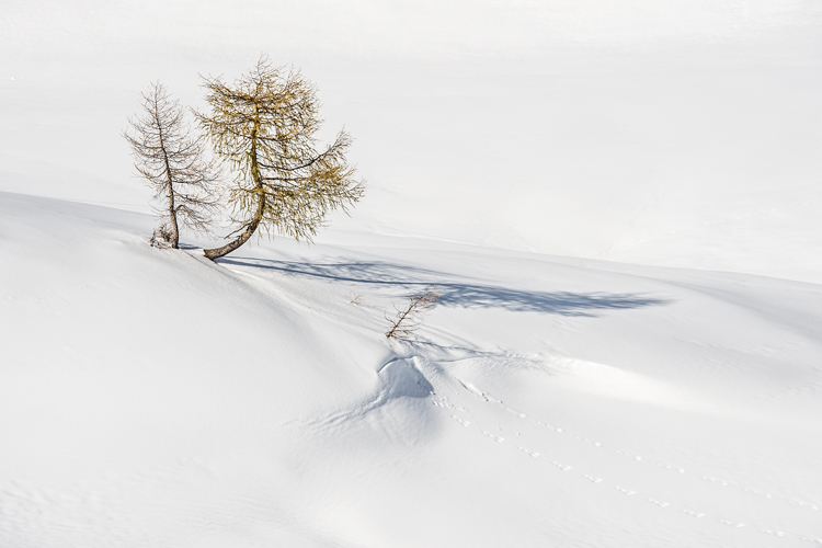 neuebilder_quer_4