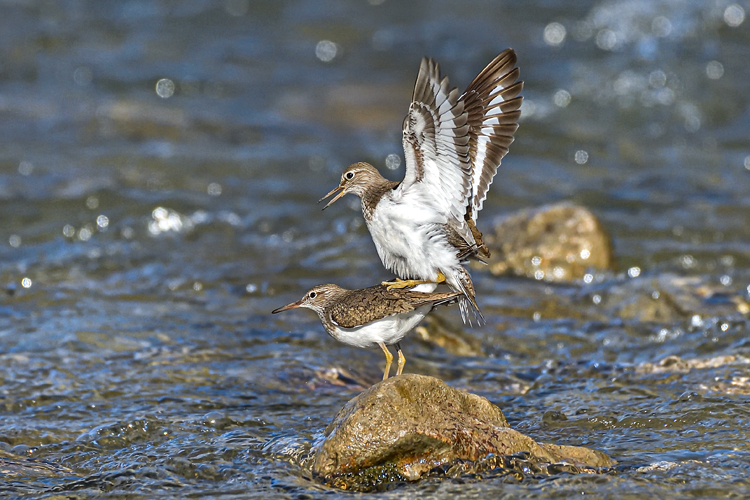 neuebilder_quer_2