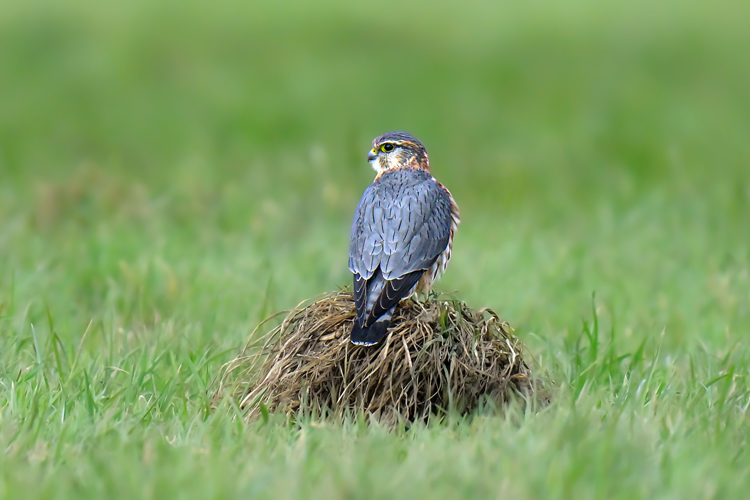 neuebilder_quer_3