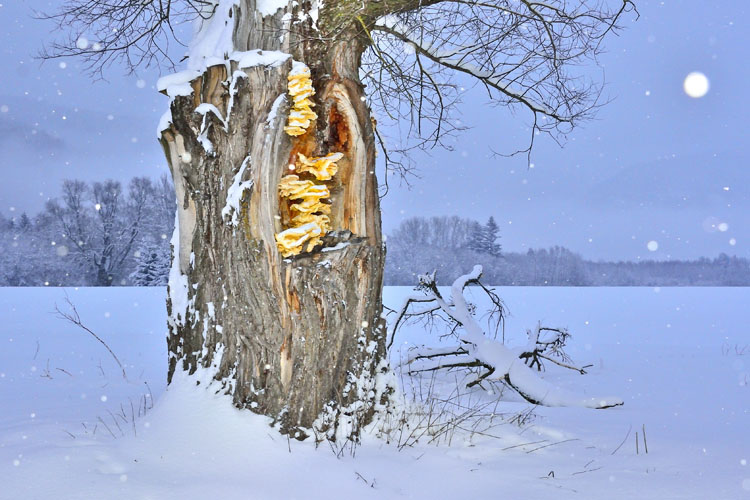 neuebilder_quer_6