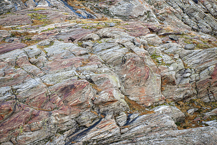 neuebilder_quer_6
