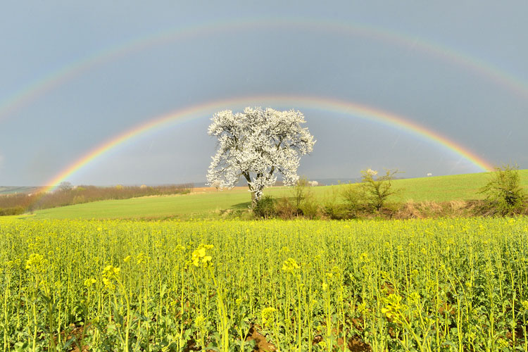 neuebilder_quer_3