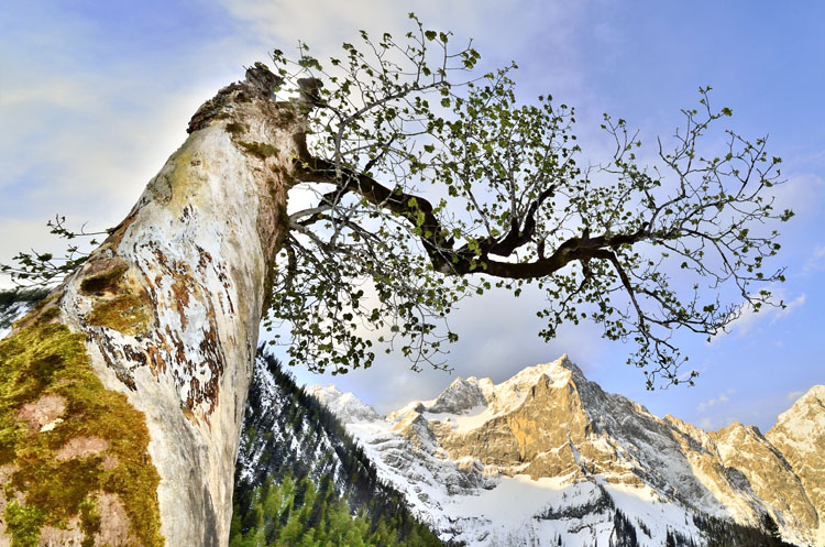 neuebilder_quer_8