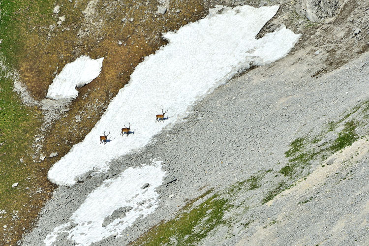 neuebilder_quer_2
