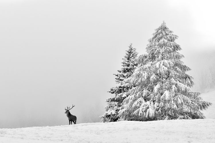 neuebilder_quer_6