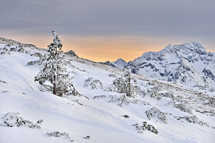 neuebilder_quer_7